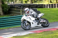 cadwell-no-limits-trackday;cadwell-park;cadwell-park-photographs;cadwell-trackday-photographs;enduro-digital-images;event-digital-images;eventdigitalimages;no-limits-trackdays;peter-wileman-photography;racing-digital-images;trackday-digital-images;trackday-photos